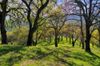 0 Quail Ridge Drive photo